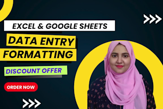 do 24 hours data entry, scraping in excel and google sheets