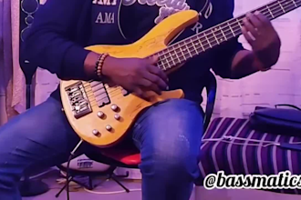 be your professional session bassist