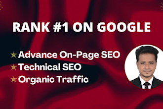 do wordpress onpage seo optimization for your website