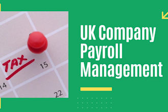 provide bookkeeping, payroll, paye registration, and tax services fo UK clients