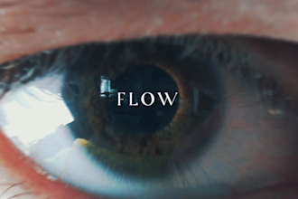 do travel, wedding or promo video editing professionally