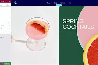 redesign, cloning, elementor, divi, acf, astra, woocommerce services