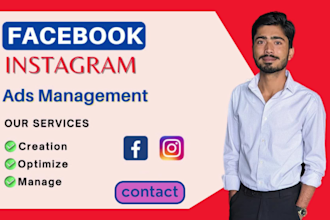 be facebook ads manager and fb ads campaign expert