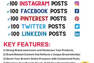 design and manage bulk social media posts and reels