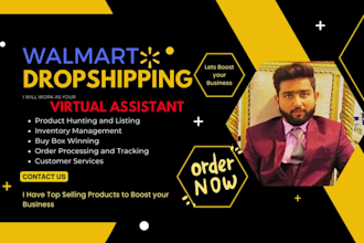 build up your walmart dropshiping store