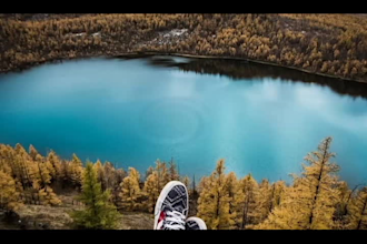 do any image animation loop video or custom animated gifs