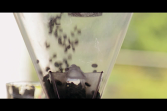create an engaging brand video ad for your business and content creation