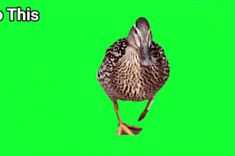 green screen your video