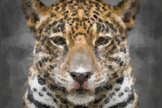 make a low poly version of any image for a present or wall art