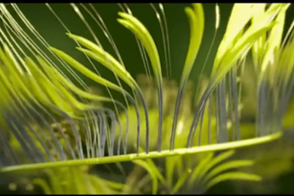 create stunning 3d abstract animation 3d loop animation 3d motion graphics