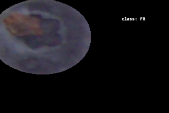 develop deep learning application