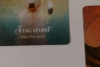 answer your questions with tarot and oracle guidance