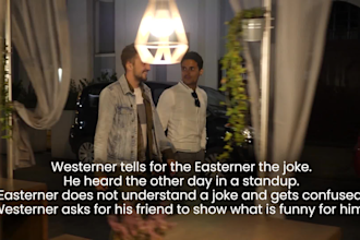 add professional english subtitles or captions