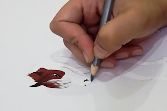 make hand drawings and time lapse of it