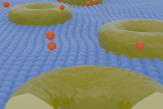 create your medical animation, explainer or illustration