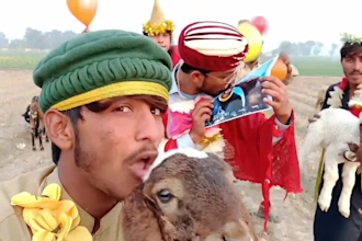 wish african happy birthday video or happy birthday videos