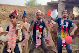 do any funny african happy birthday video or message