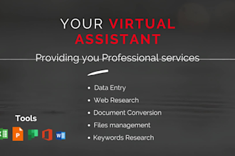 your virtual assistant for admin, web research, data entry, keywords