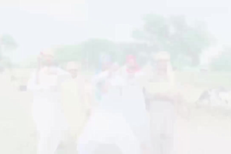 do african happy birthday video or funny happy birthday video