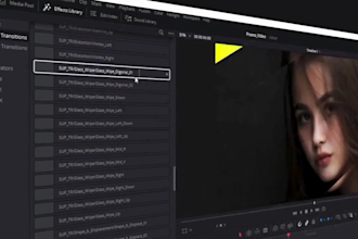 do professional video editing in 24 hours cinematically in all platforms