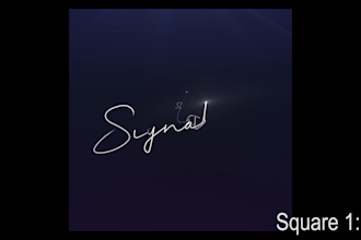 create stylish signature animation