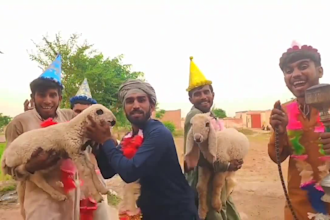 do crazy happy birthday wishes video or spokesperson