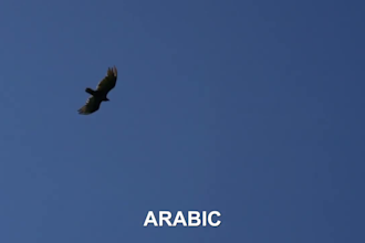 add multilingual subtitles to your video