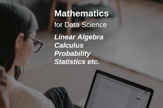 tutor you mathematics for data science