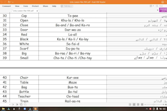 help you learn the urdu language on zoom