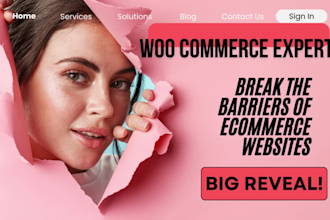 build ecommerce, woocommerce customization, and online store