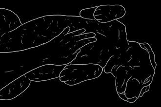 create custom your animation