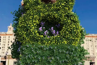 do 3d flower animation, 3d flower design, 3d plant animation, 3d cgi animation