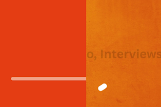 provide high quality transcription in english