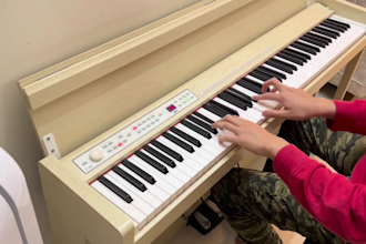give piano lesson or any song you want