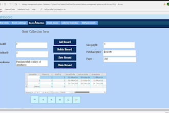 develop microsoft access database  projects for you