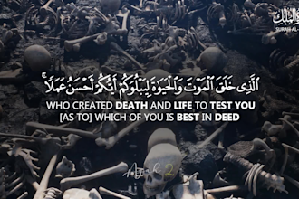 create beautiful quran recitation videos with translation