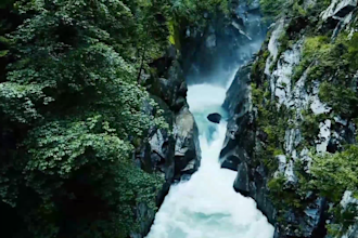 give you relaxing hd nature videos for your youtube