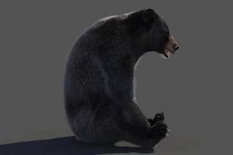 do realistic 3d animal animation  cgi  3d animal model  vfx 3d aminal model