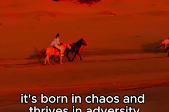 make motivational, inspirational quotes video images