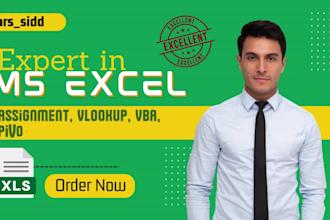 do ms excel assignment, vlookup, vba, pivot tables in 24 hours