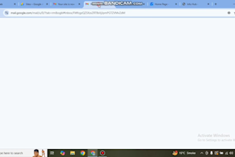 provide adsense approval and website monetization services