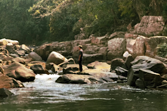 enhance your videos or images by editing, color grading