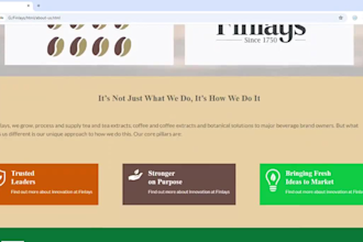 design website pages with html css and javascript