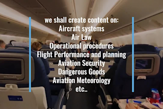 compose unique SEO aviation essay, articles and blogs