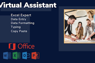 do excel data entry,formula,copy paste,formatting,translate,proofreading