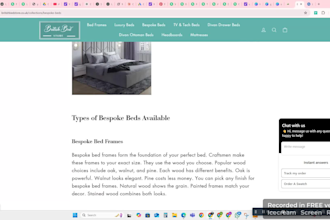 write SEO blog posts and web content that ranks