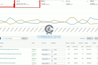 setup and optimize amazon PPC campaigns and amazon ads