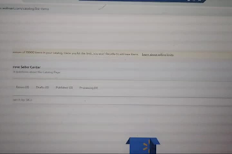 provide you verified walmart seller central