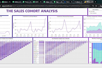 be your expert data analyst for power bi , excel dashboards