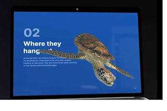 make webflow website, 3d animated webflow website, webflow spline
